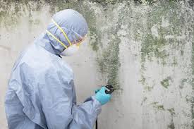 Best Asbestos and Lead Testing During Mold Inspection in Soledad, CA